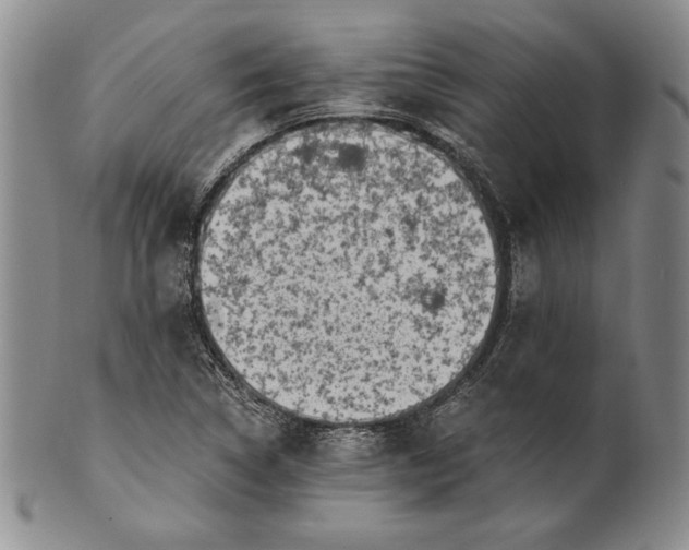 X0000100761314200807101718