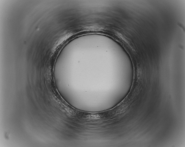 X0000100761315200807101718