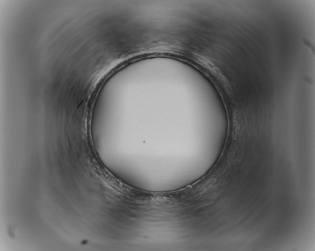 X0000100761316200807101718