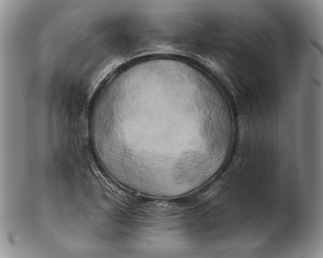 X0000100761318200807101718