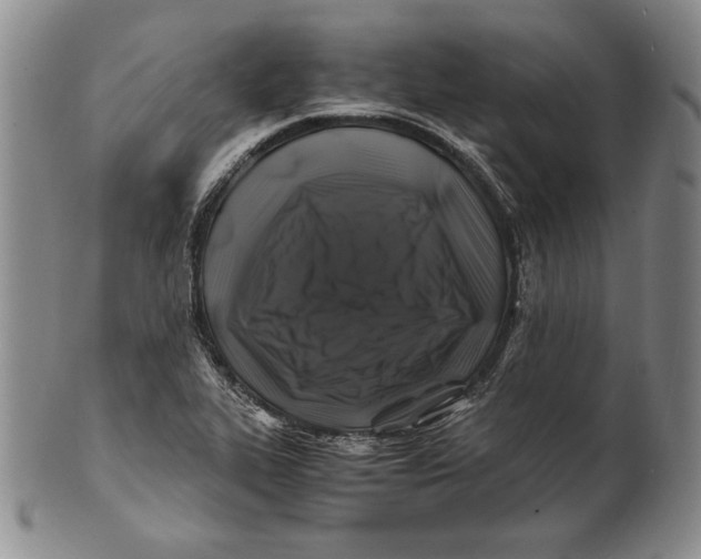 X0000100761319200807101718