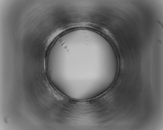 X0000100761320200807101718