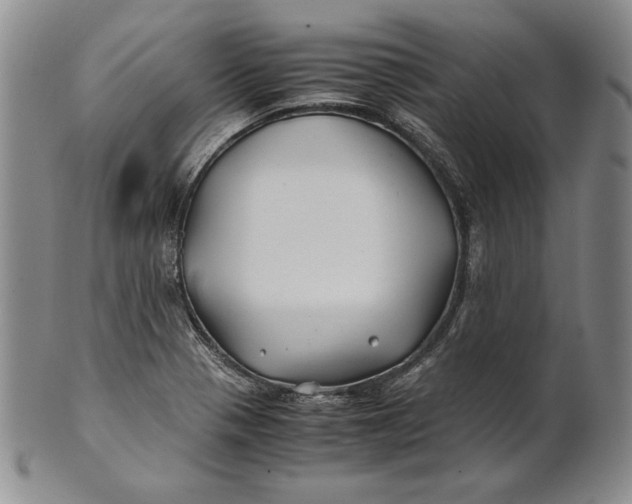 X0000100761321200807101718