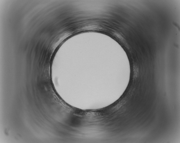 X0000100761322200807101718