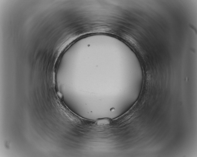 X0000100761324200807101718