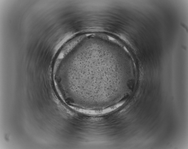 X0000100761325200807101718