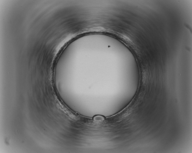 X0000100761326200807101718