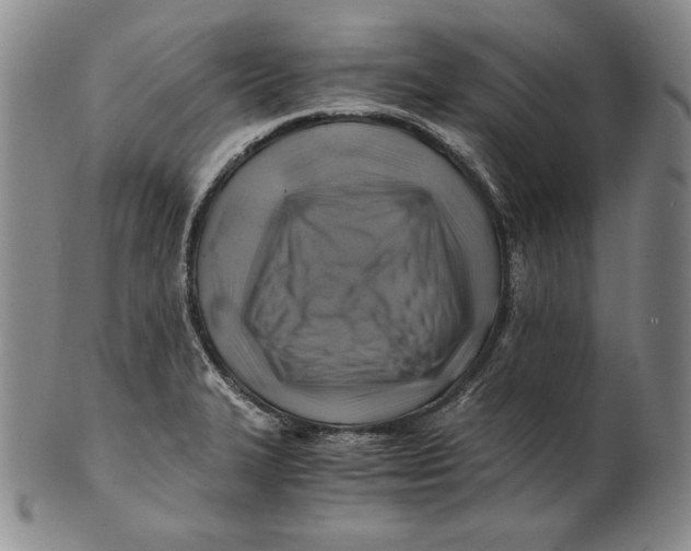 X0000100761327200807101718