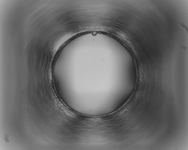 X0000100761328200807101718