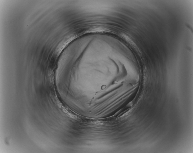 X0000100761329200807101718