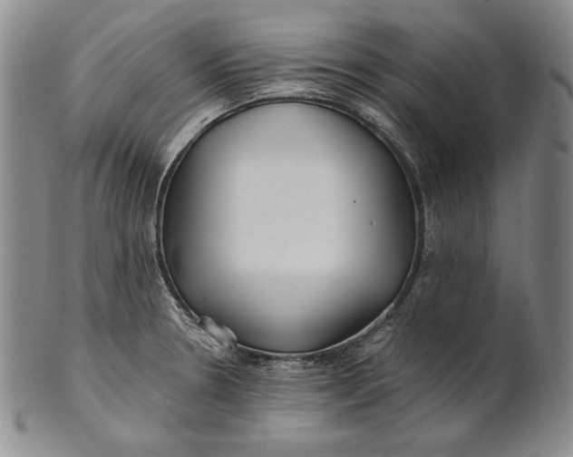 X0000100761330200807101718