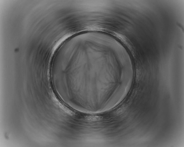 X0000100761331200807101718