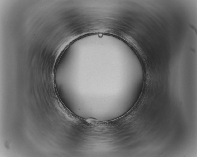 X0000100761332200807101718