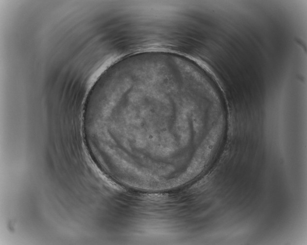 X0000100761333200807101718