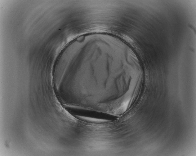 X0000100761334200807101718