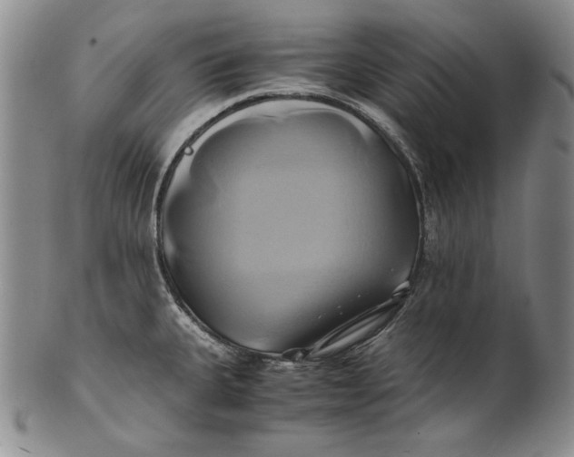 X0000100761335200807101718