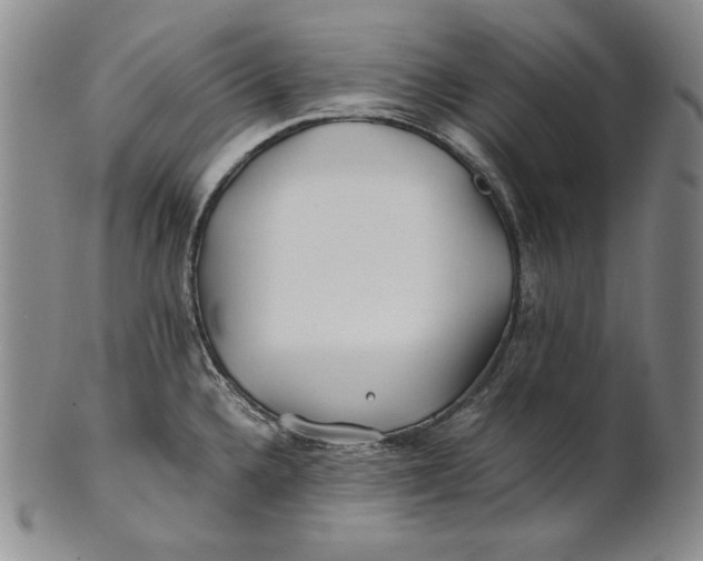 X0000100761336200807101718