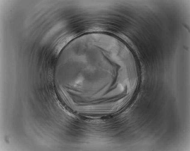 X0000100761337200807101718