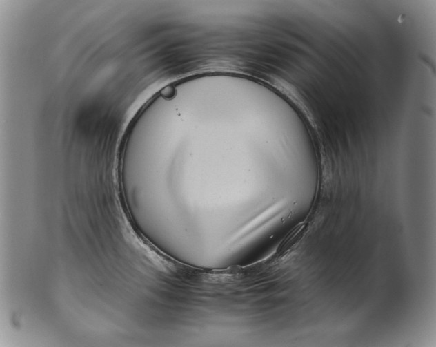 X0000100761339200807101718