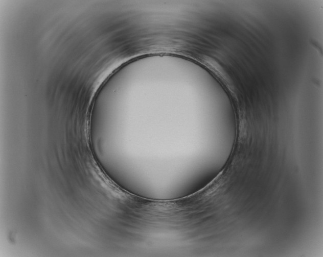 X0000100761340200807101718