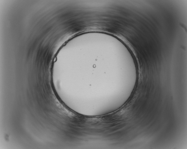 X0000100761341200807101718