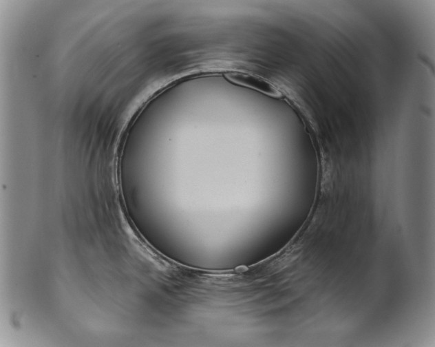 X0000100761342200807101718