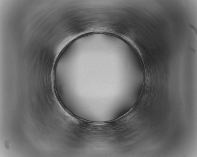 X0000100761343200807101718