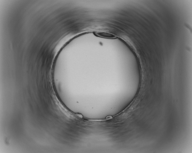 X0000100761344200807101718