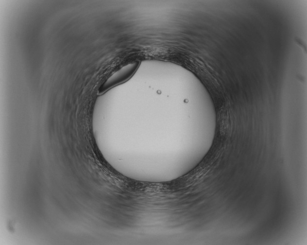 X0000100761345200807101718