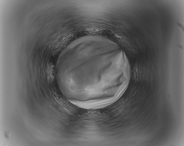 X0000100761346200807101718