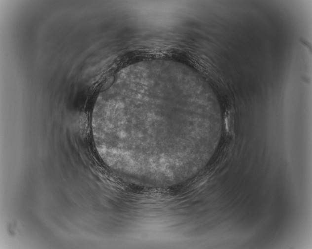 X0000100761347200807101718