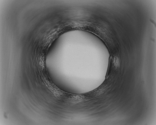 X0000100761348200807101718