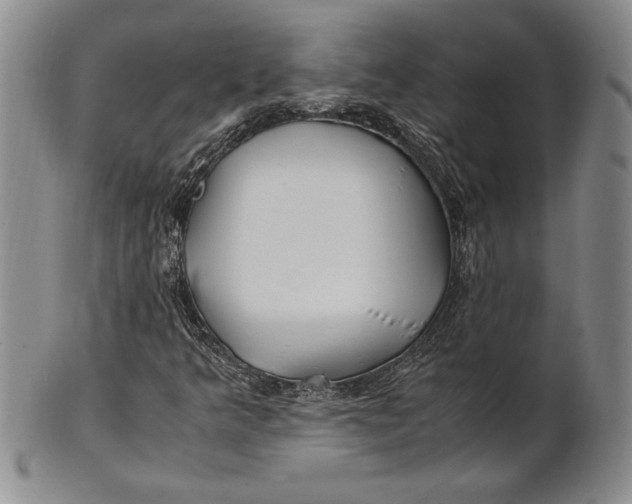 X0000100761349200807101718