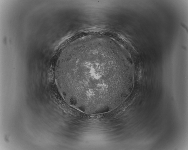 X0000100761350200807101718