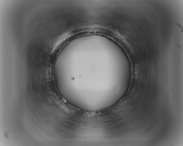 X0000100761352200807101717