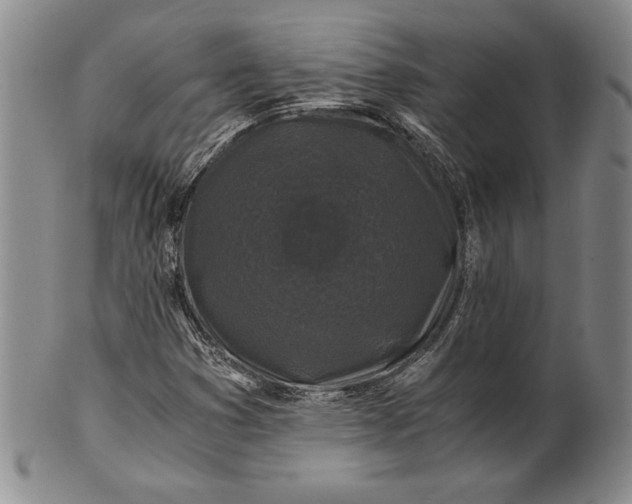 X0000100761353200807101717