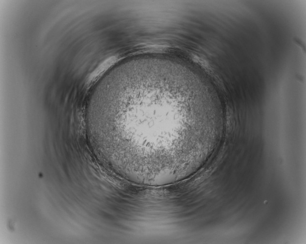 X0000100761354200807101717