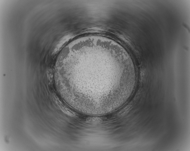 X0000100761355200807101717