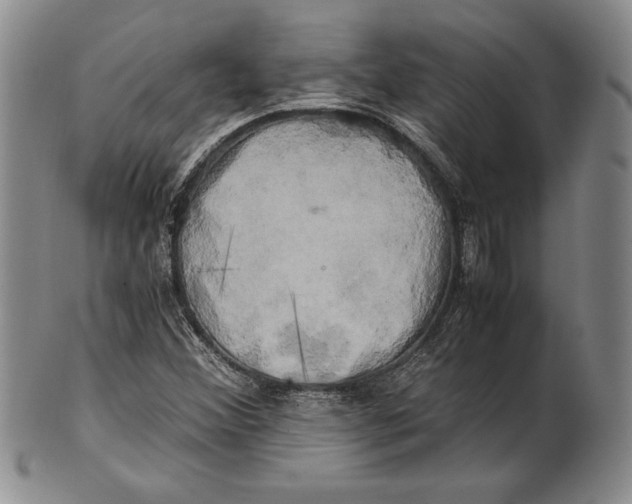 X0000100761356200807101717