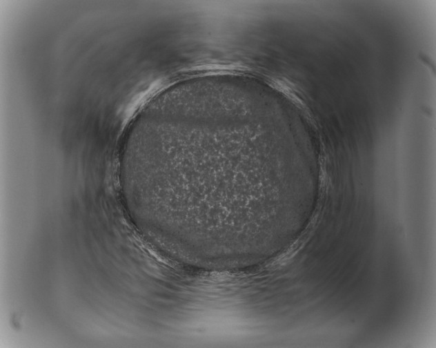 X0000100761357200807101717