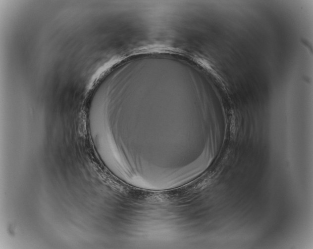 X0000100761358200807101717