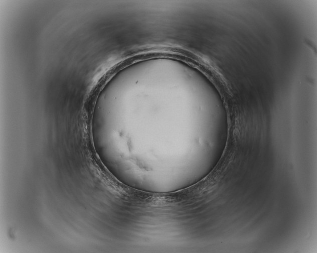 X0000100761360200807101717