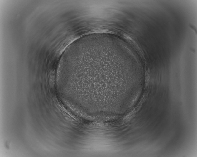 X0000100761361200807101717