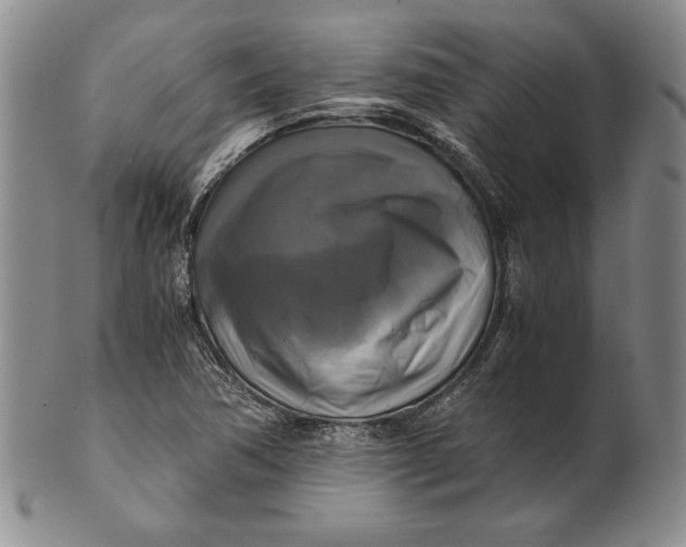 X0000100761362200807101717