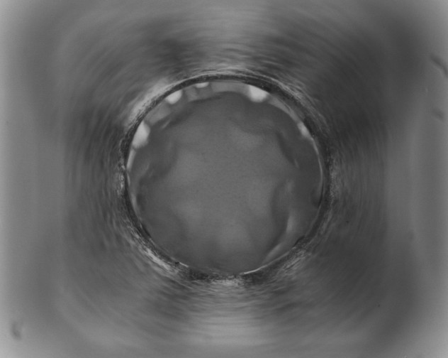 X0000100761363200807101717