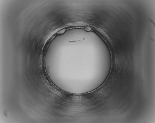 X0000100761364200807101717