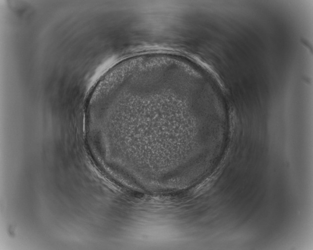 X0000100761365200807101717