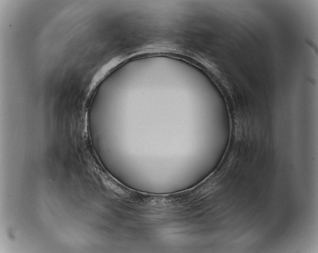 X0000100761366200807101717