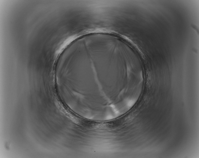 X0000100761367200807101717