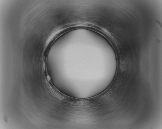 X0000100761368200807101717